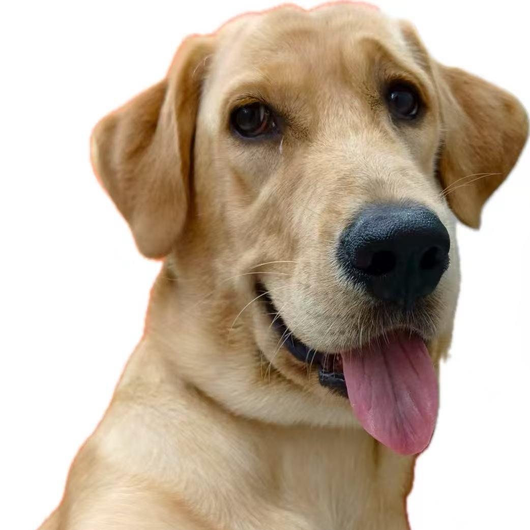 🌈🌈刚刚好🌈🌈🌈🌈