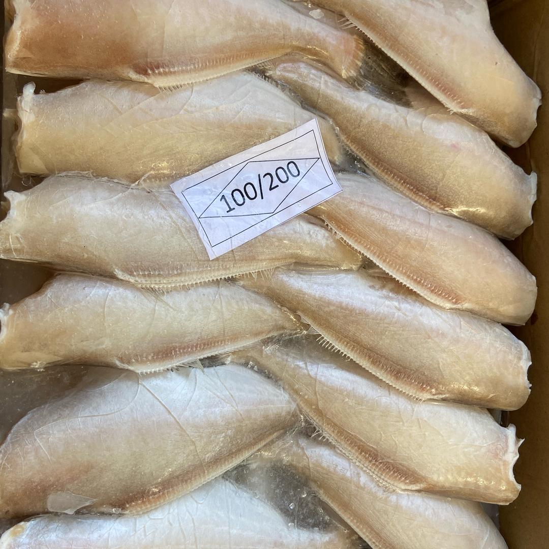 专业耗儿鱼批发，誉博水产明品福店