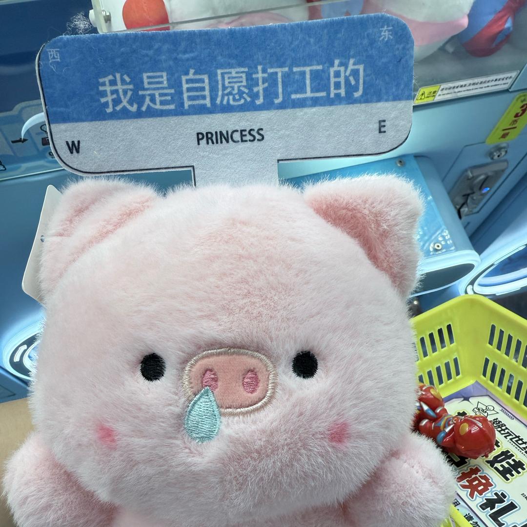 困困鱼.