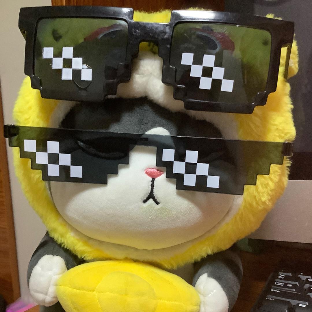 Q先生、