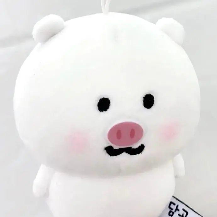 我去买点橘子.