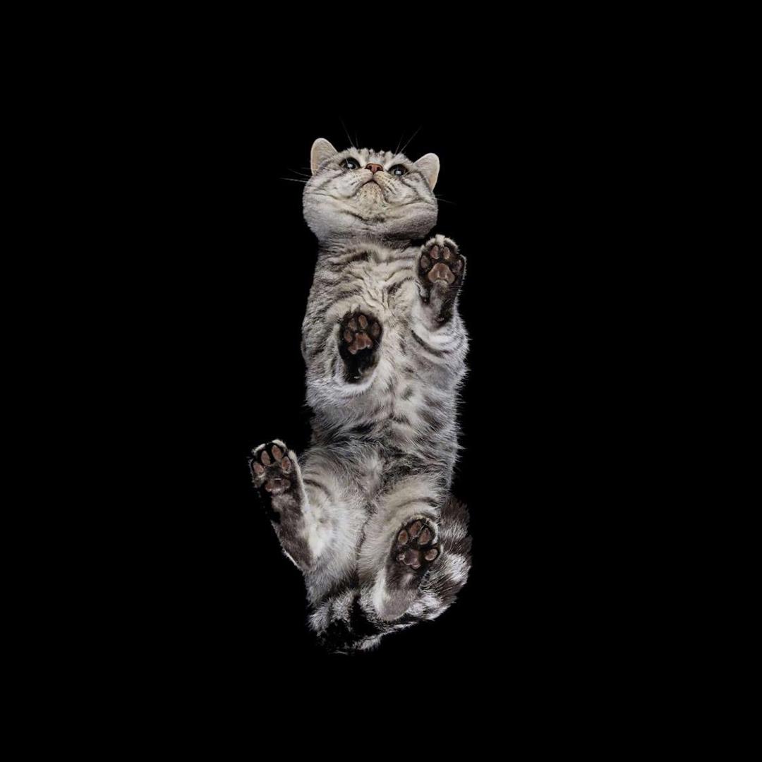 工资2千月休2天