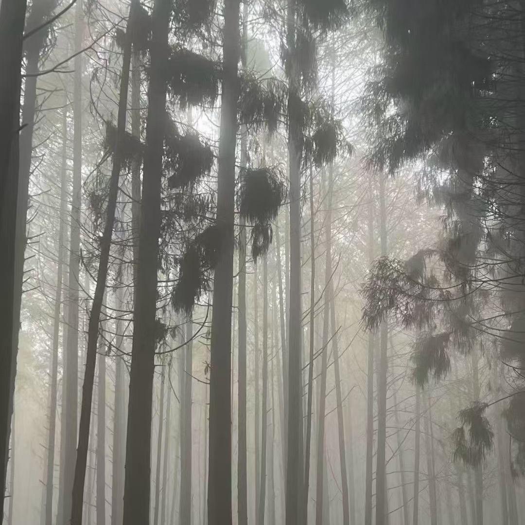 灰色地带