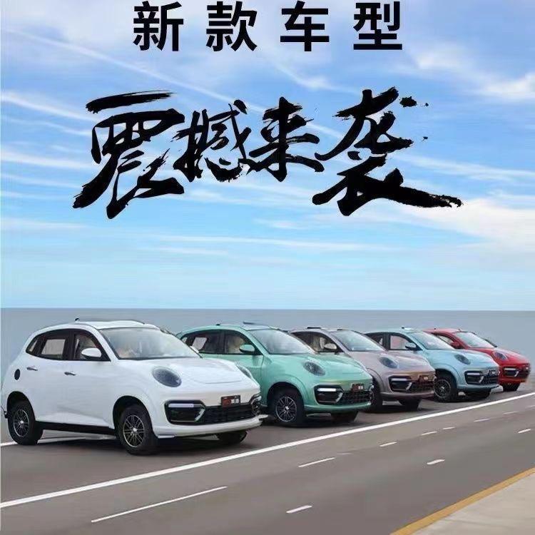 山东鼎盛新能源汽车销售有限公司