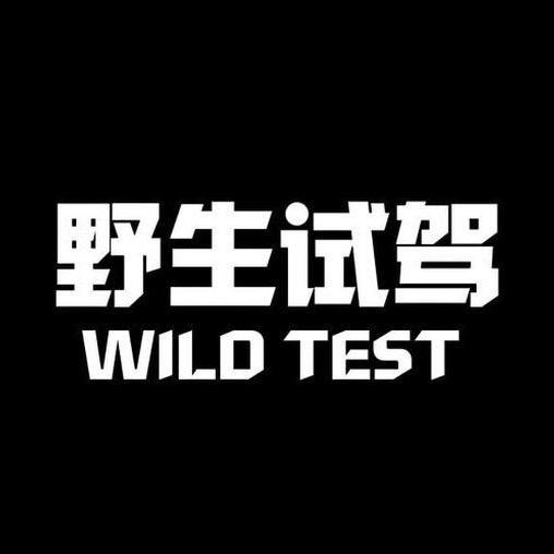 野生试驾