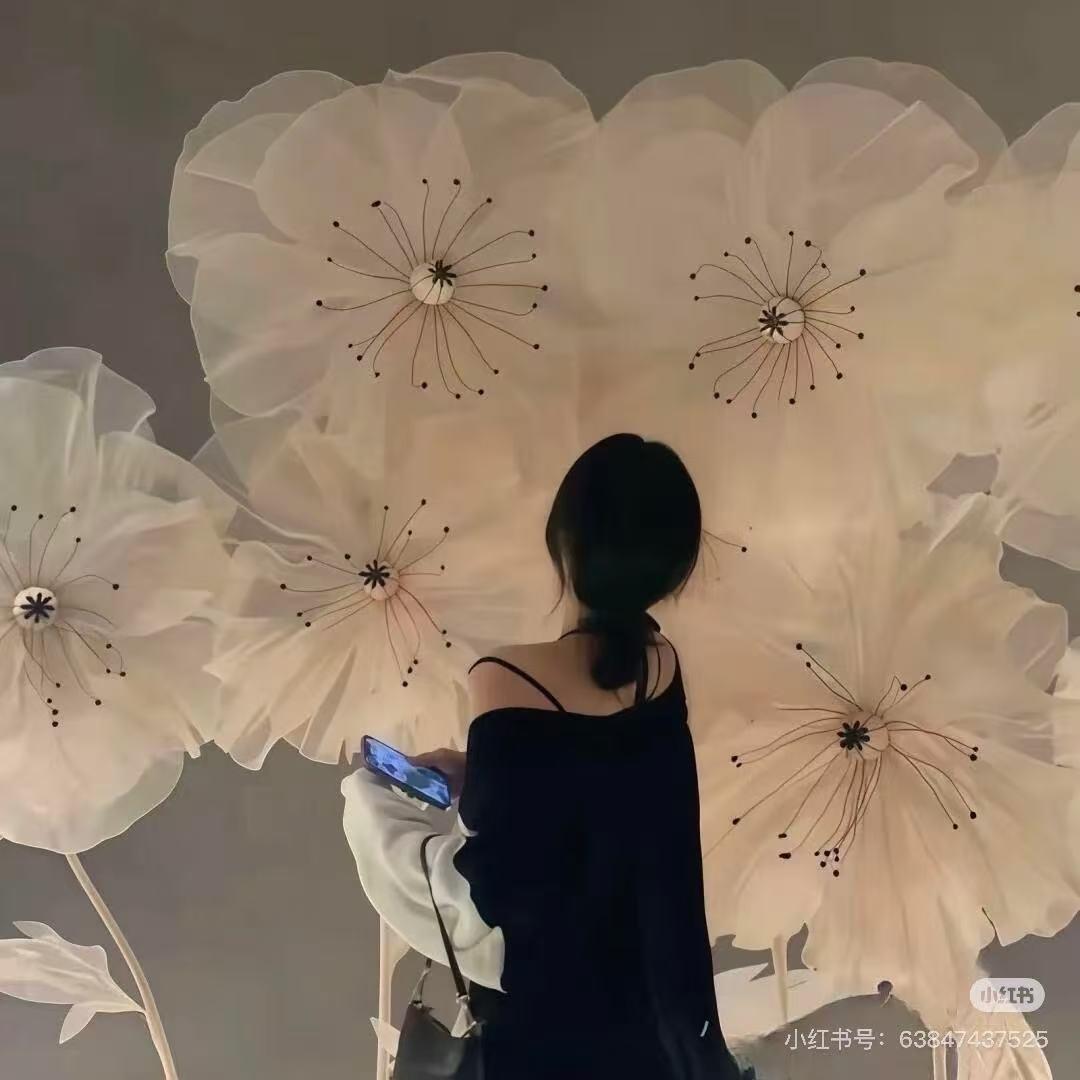 婉儿