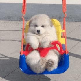 媛媛🧚🏼‍♀️