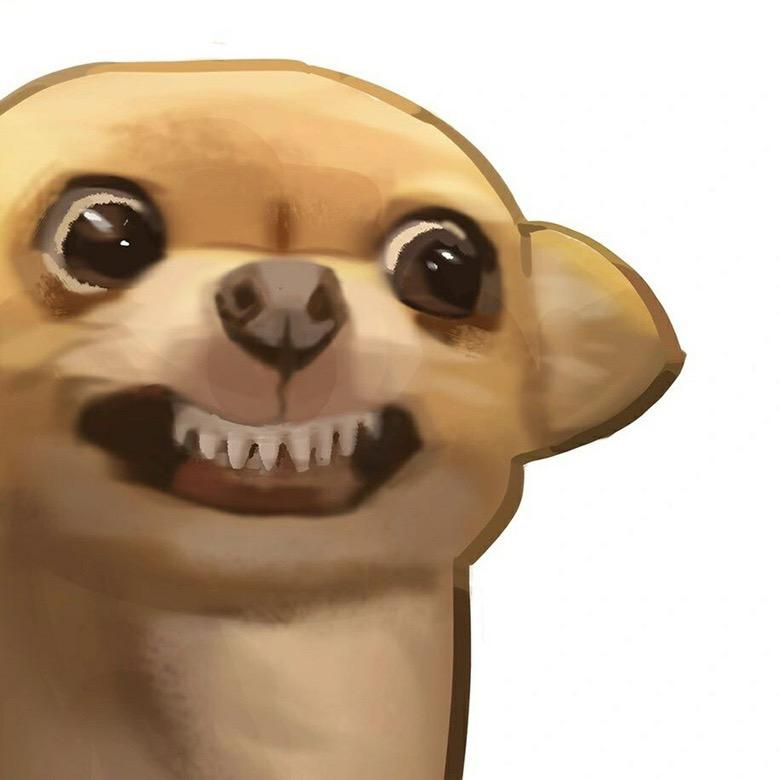 🐌卷