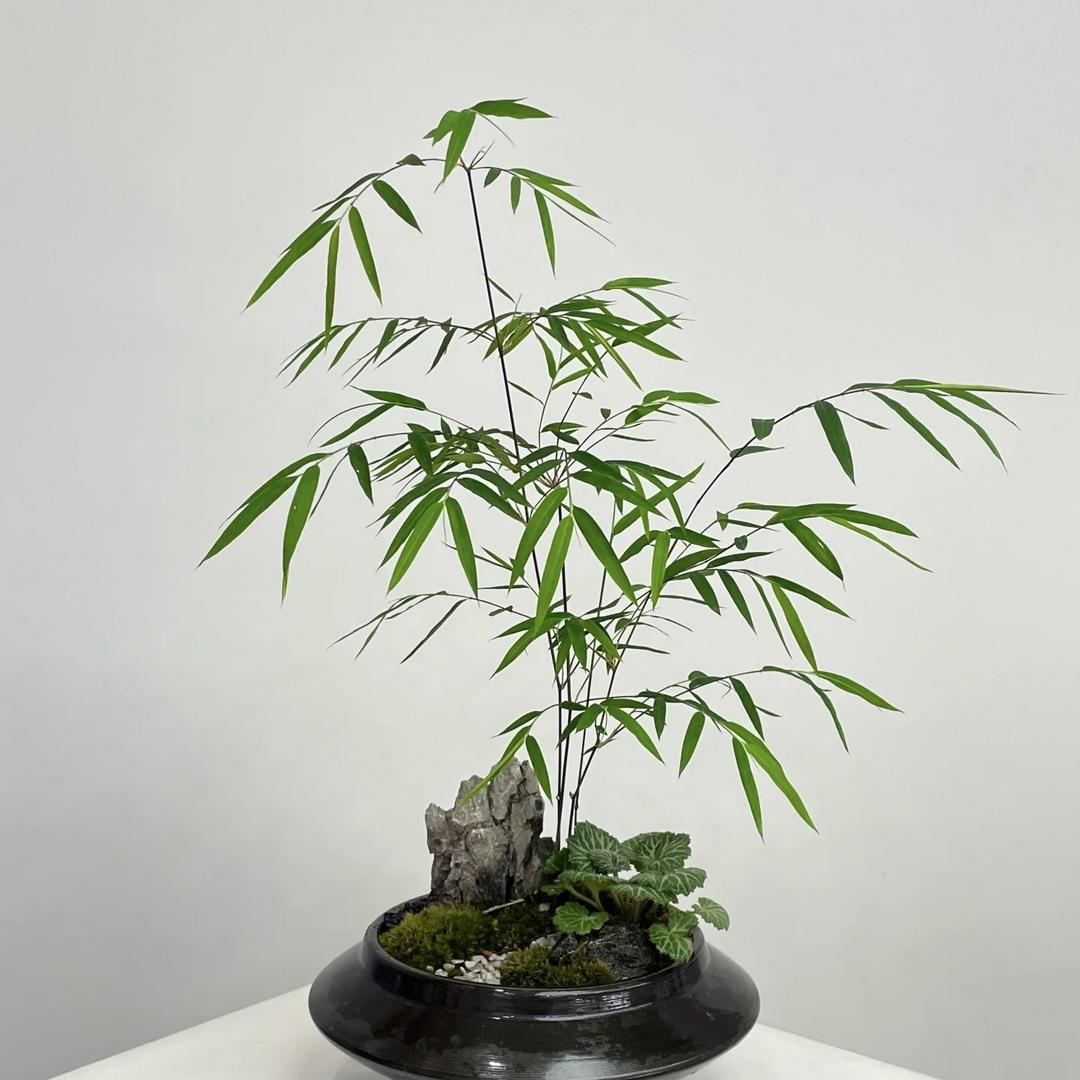 简记园艺