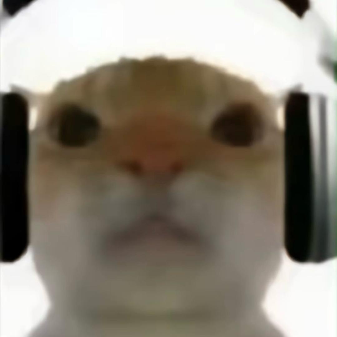 赞赞