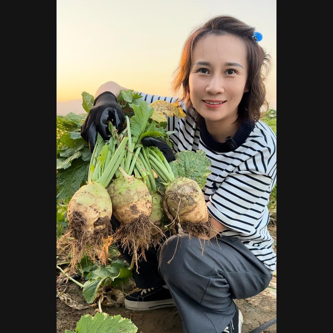 二姑娘蔬菜供应链