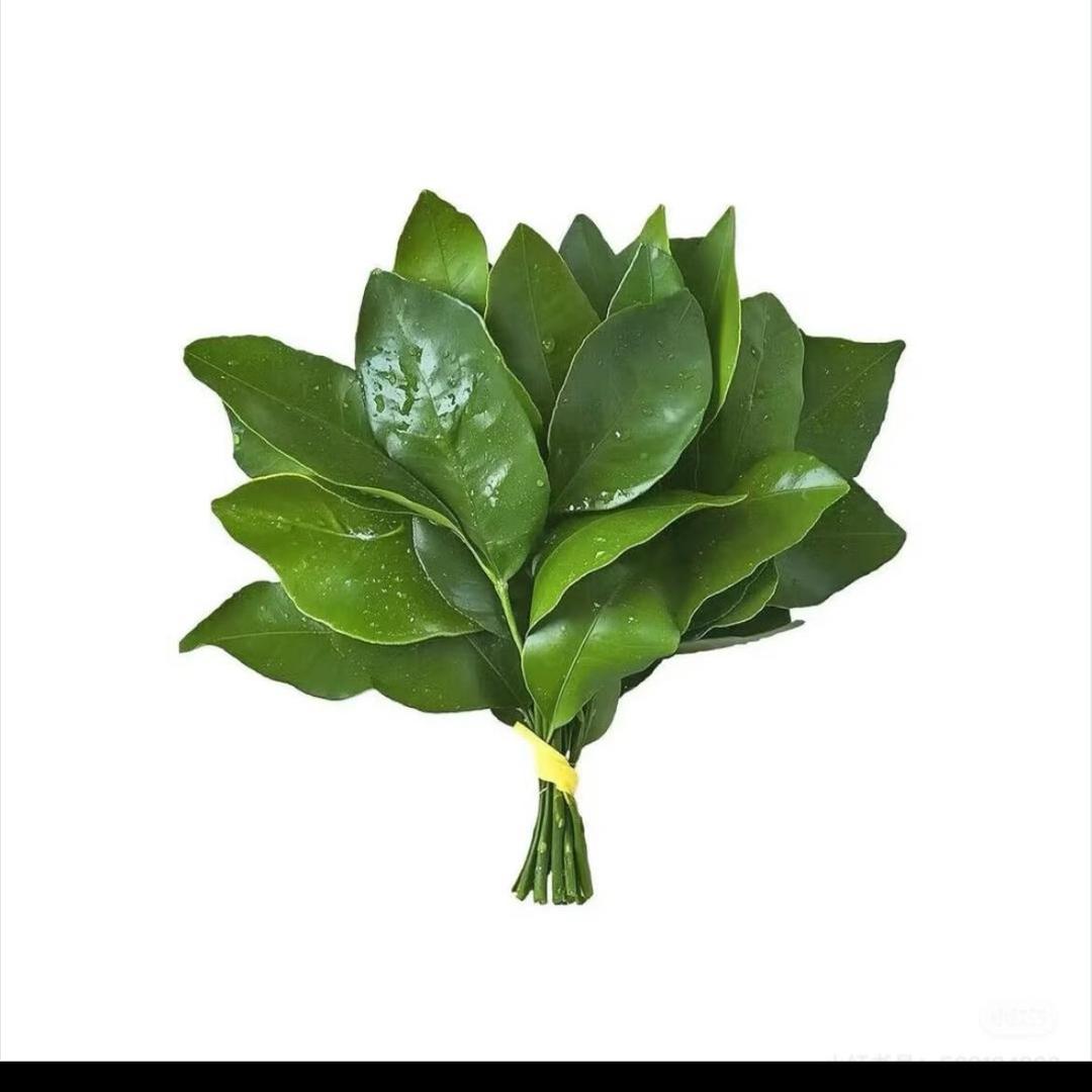 陈小满吖