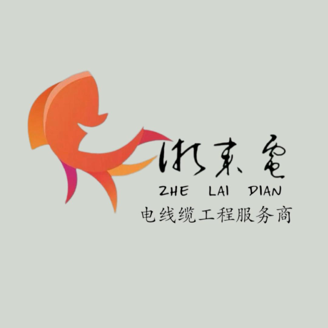 浙来电咚咚