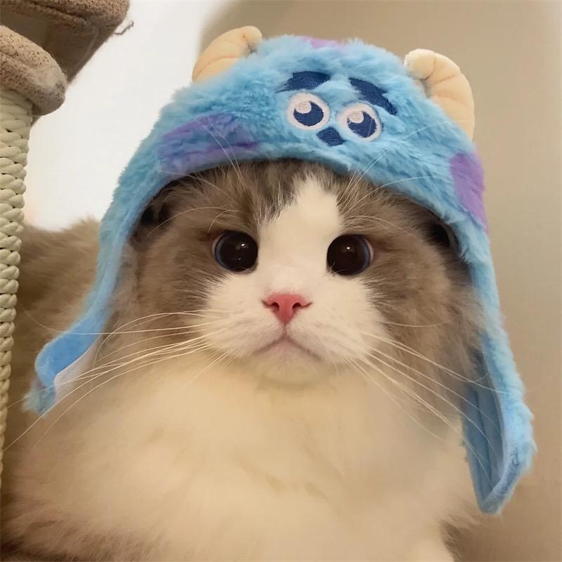 小吉魔仙（养猫版）