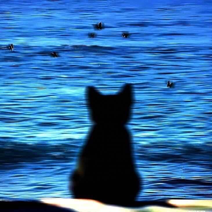 宫野Homebar-叶子🍃