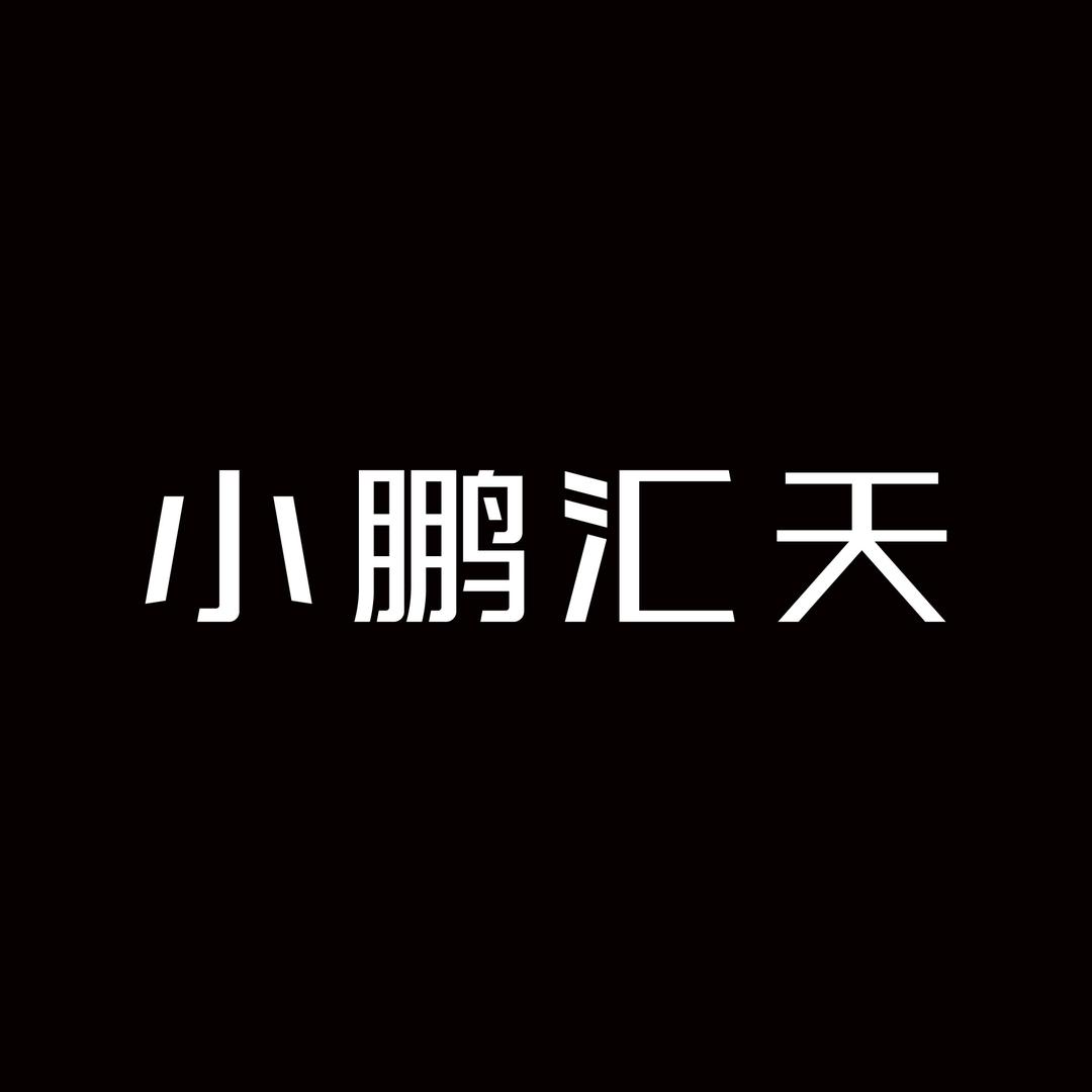 小鹏汇天
