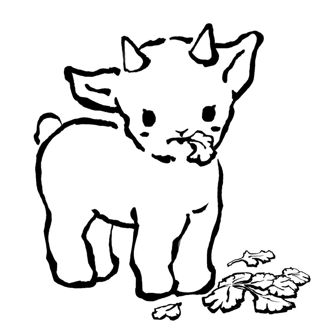 香菜炒饭