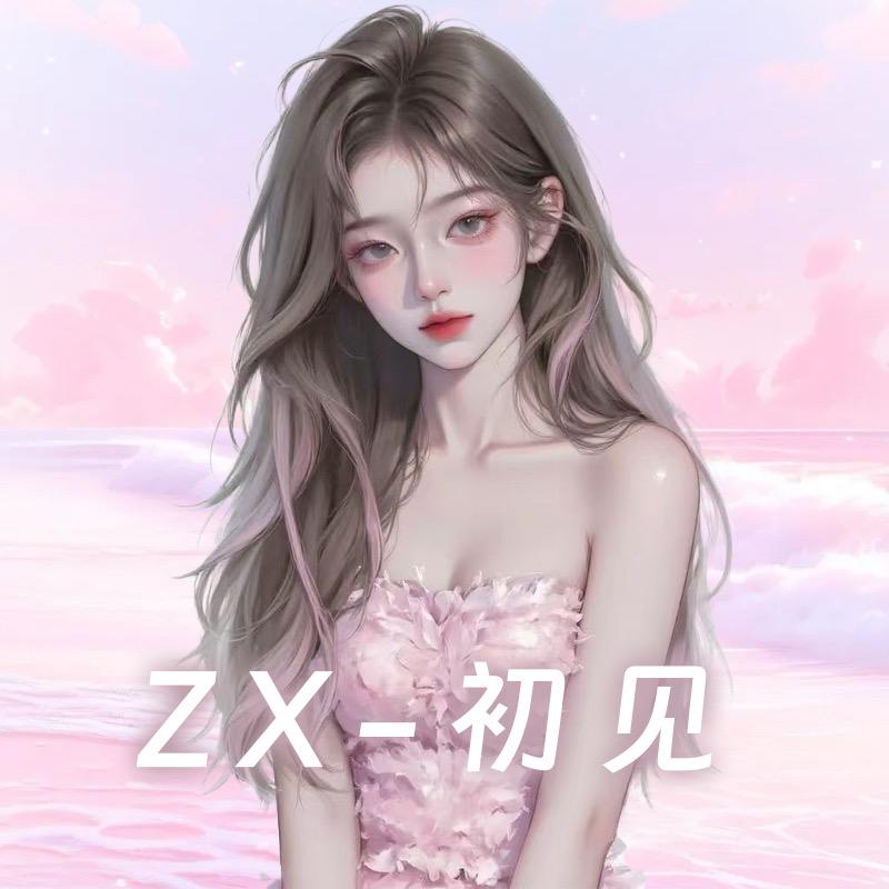 ZX-初见
