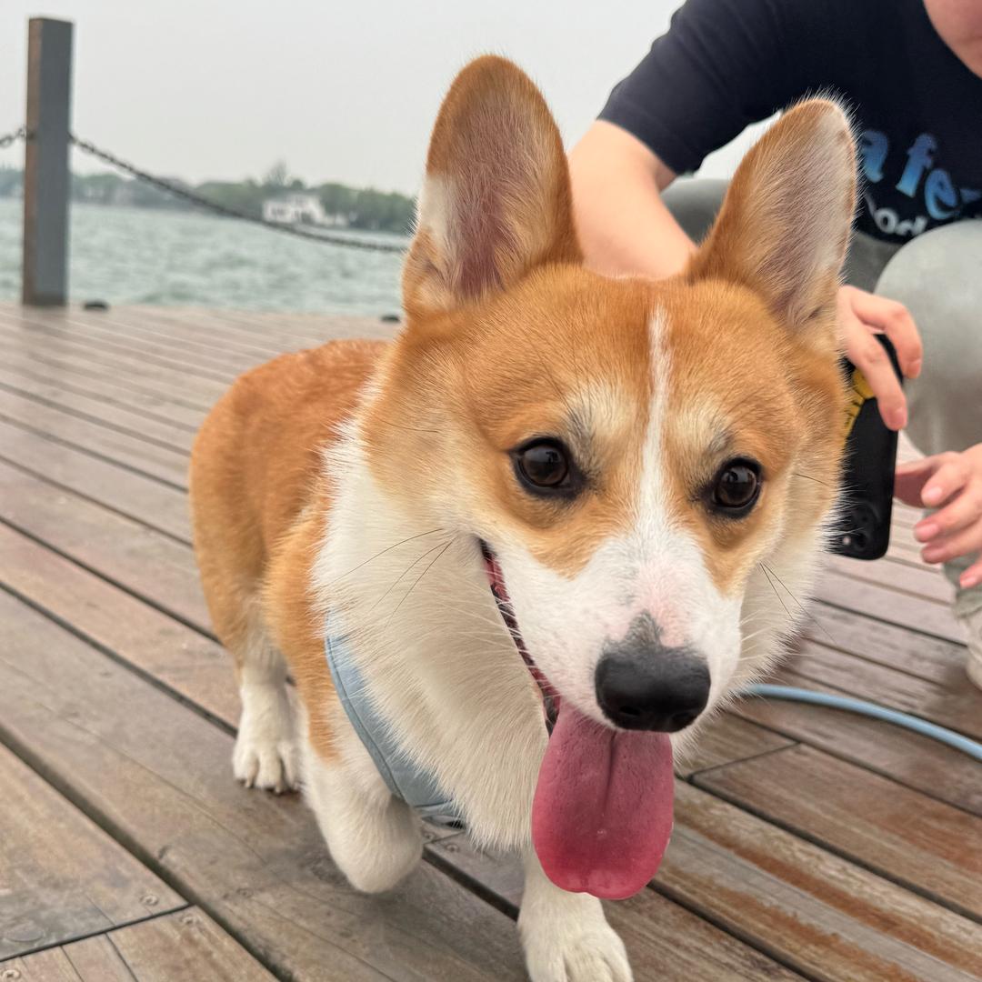 开心.