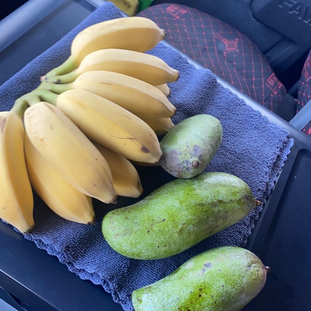 向钱赚向厚看《涠洲岛》