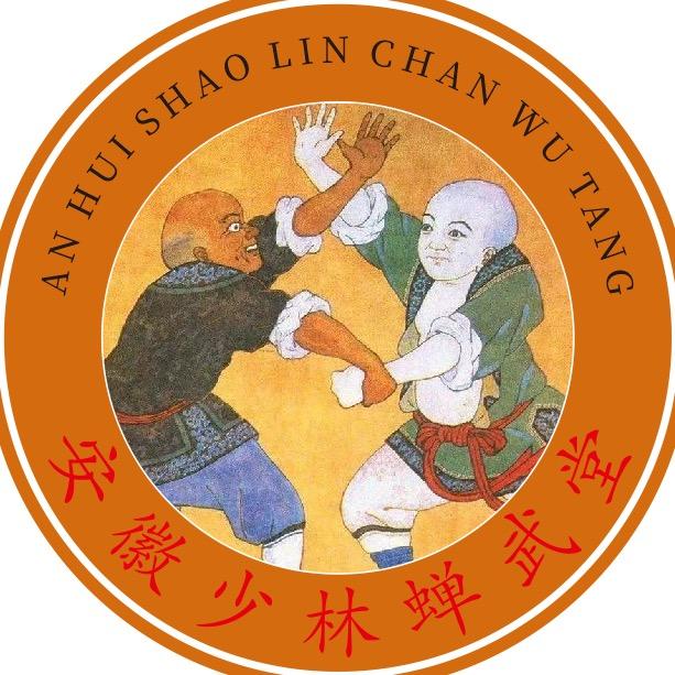 安徽少林蝉武堂·南堂官方