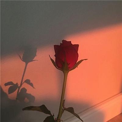今天早点睡-