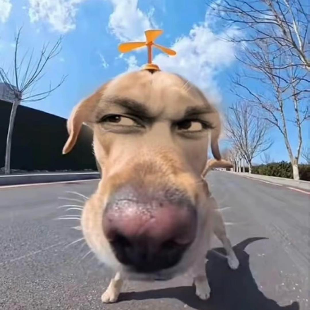 六花