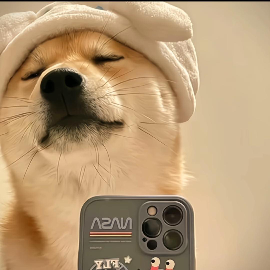 俊~~