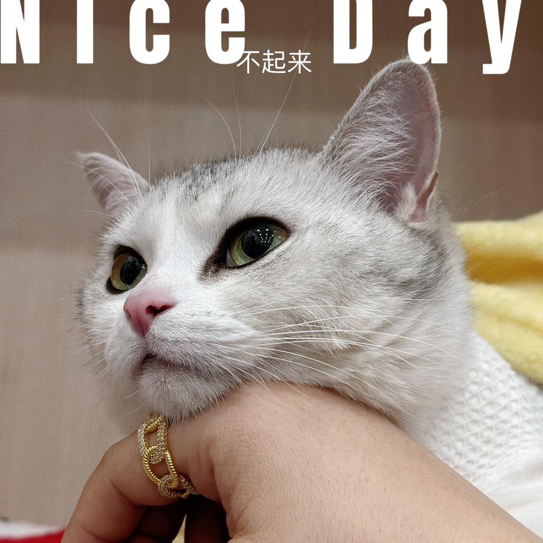 superQ就爱玩