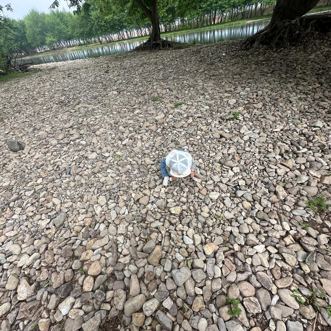 碳酸饮廖