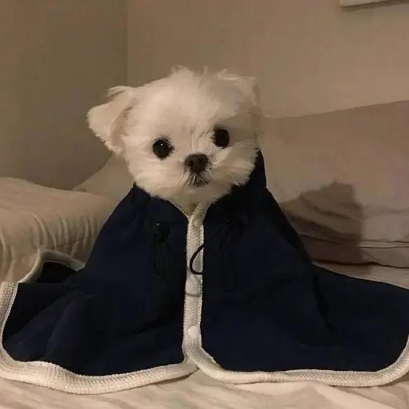 你脸红什么啊