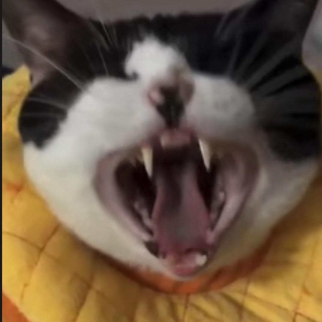 吓死我了