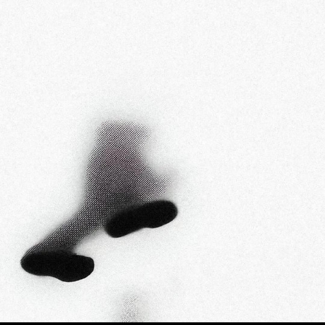 文羽