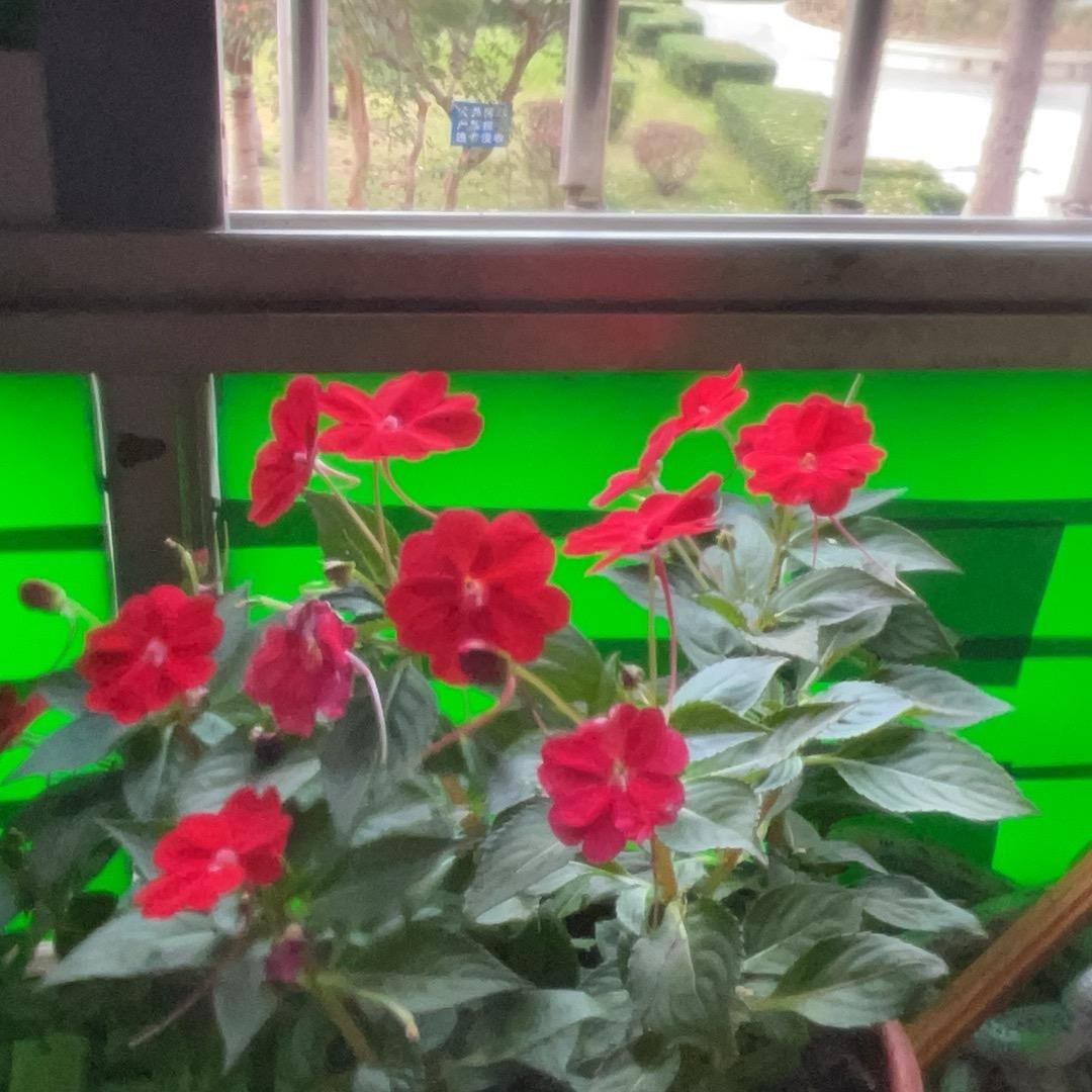 珍惜身边的每一个人