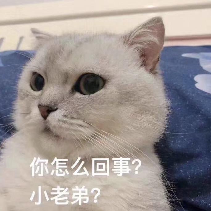 山本鱼头