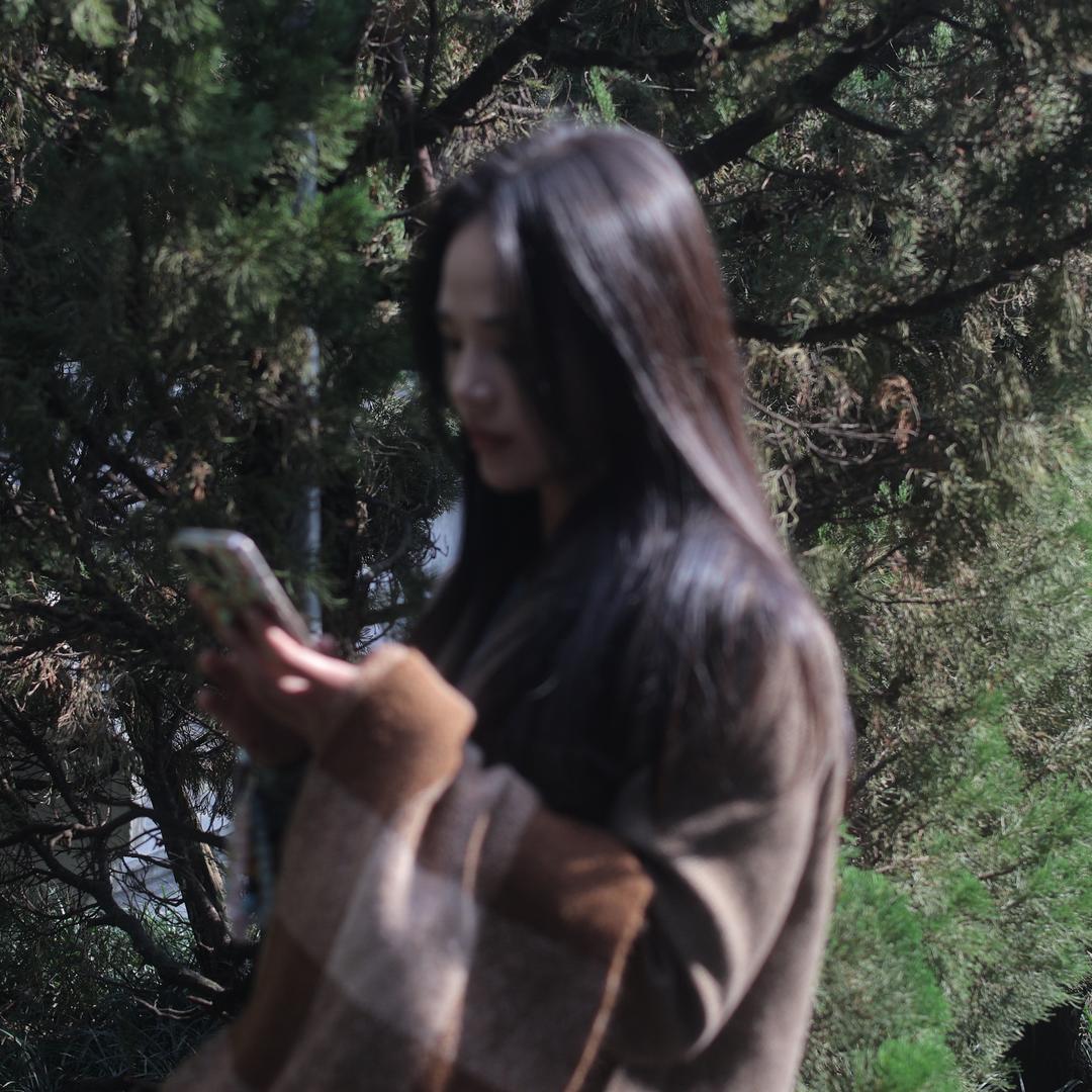 一只棉羊🐑