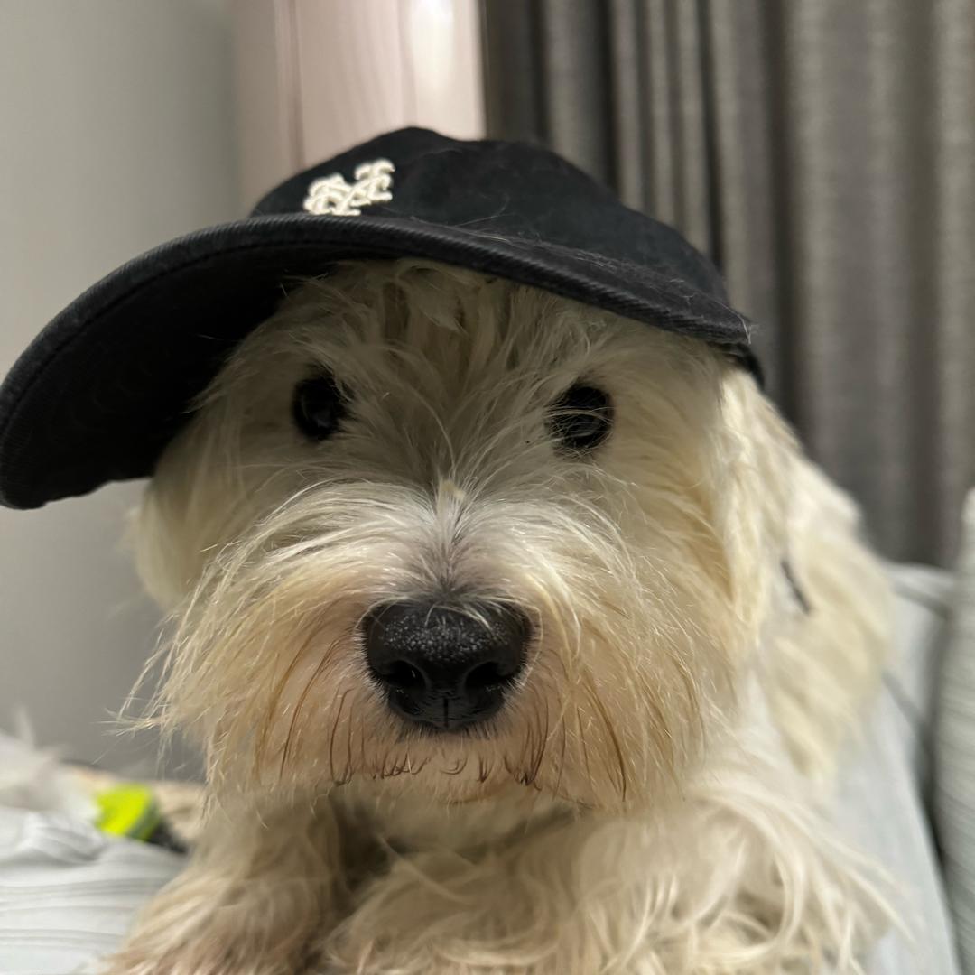 小呼肘肘