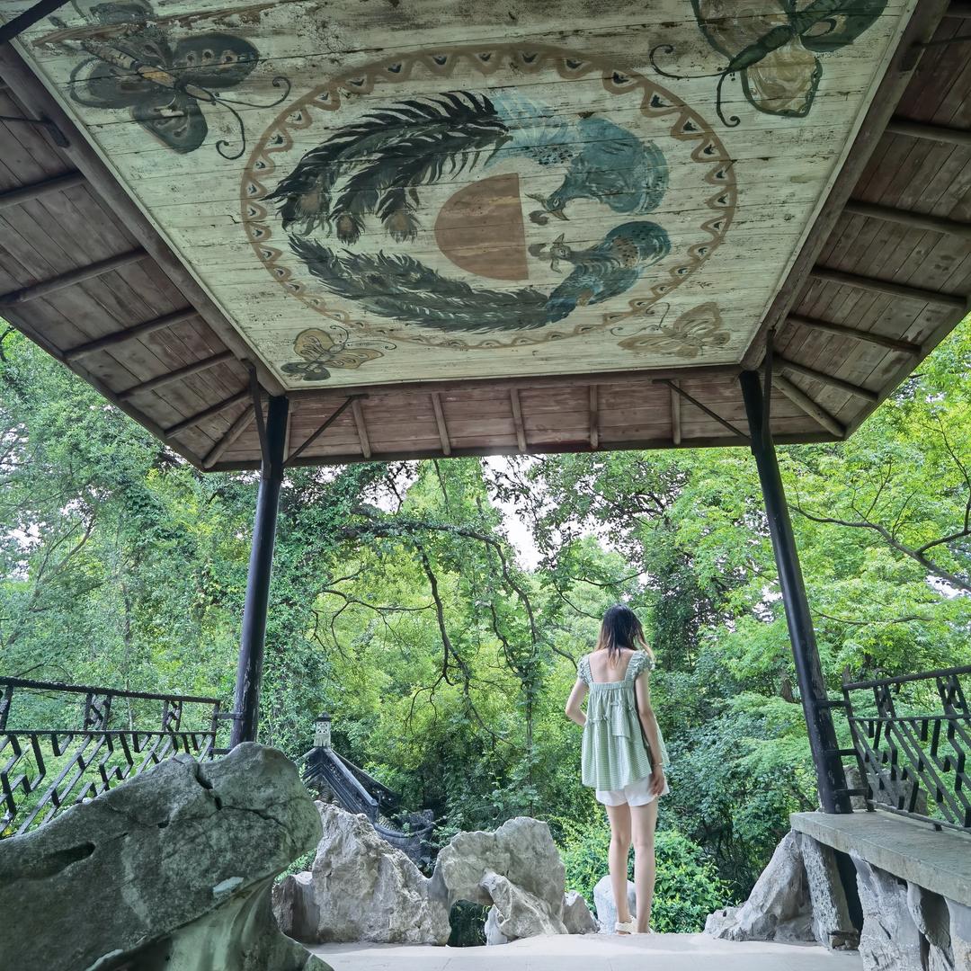 杨梅书记