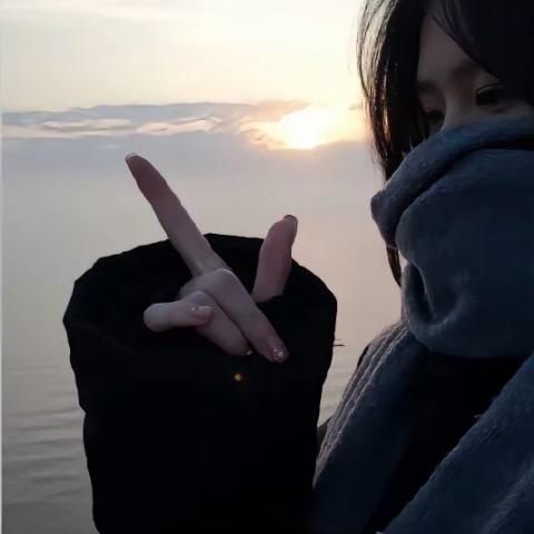橘猫🧡