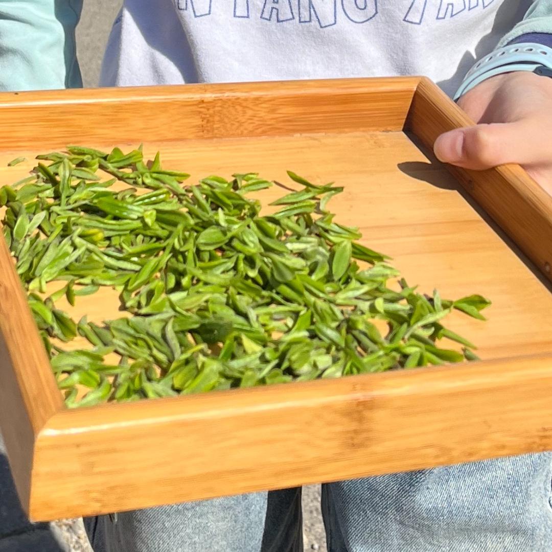 溢香茶庄(北京路店)官方号