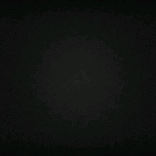 啥也不懂
