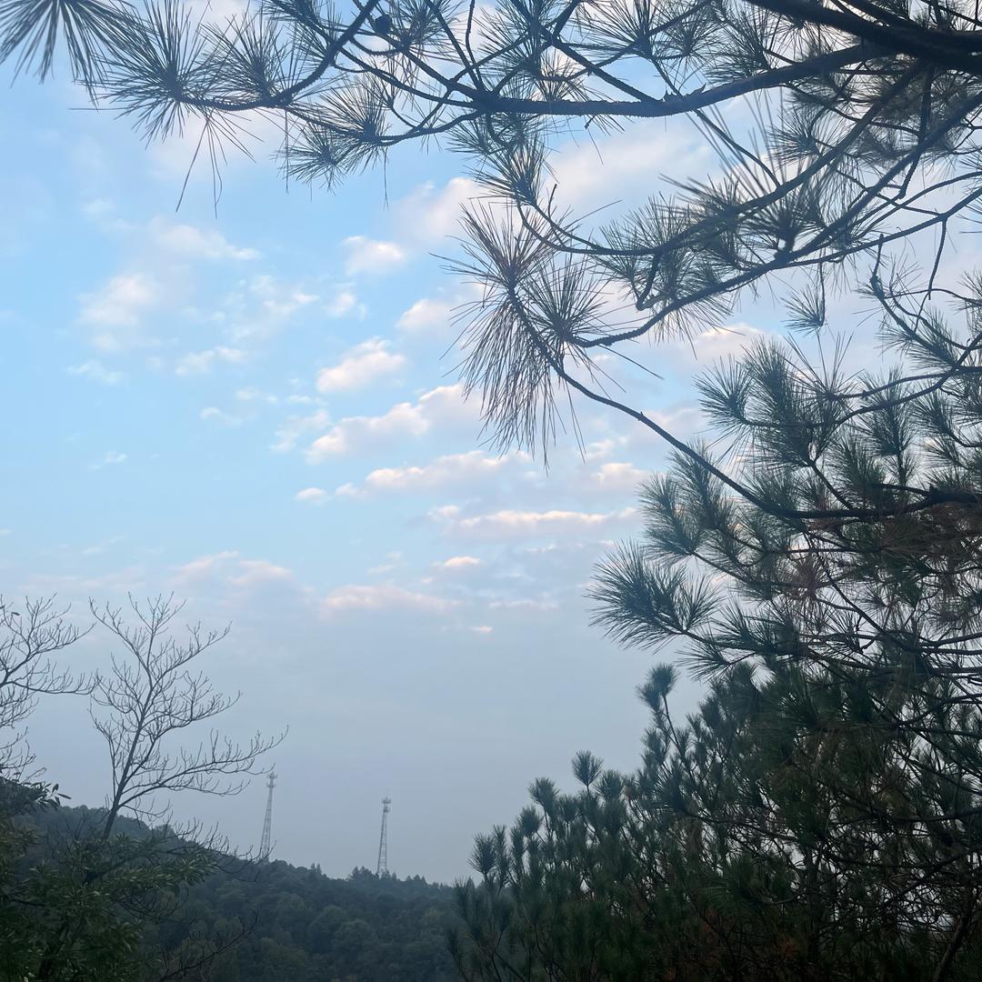 阿健快乐日常
