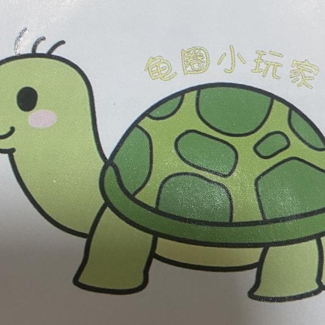 龟圈小玩家