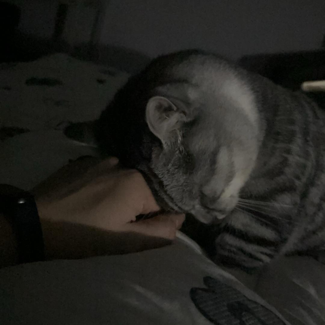 一哈
