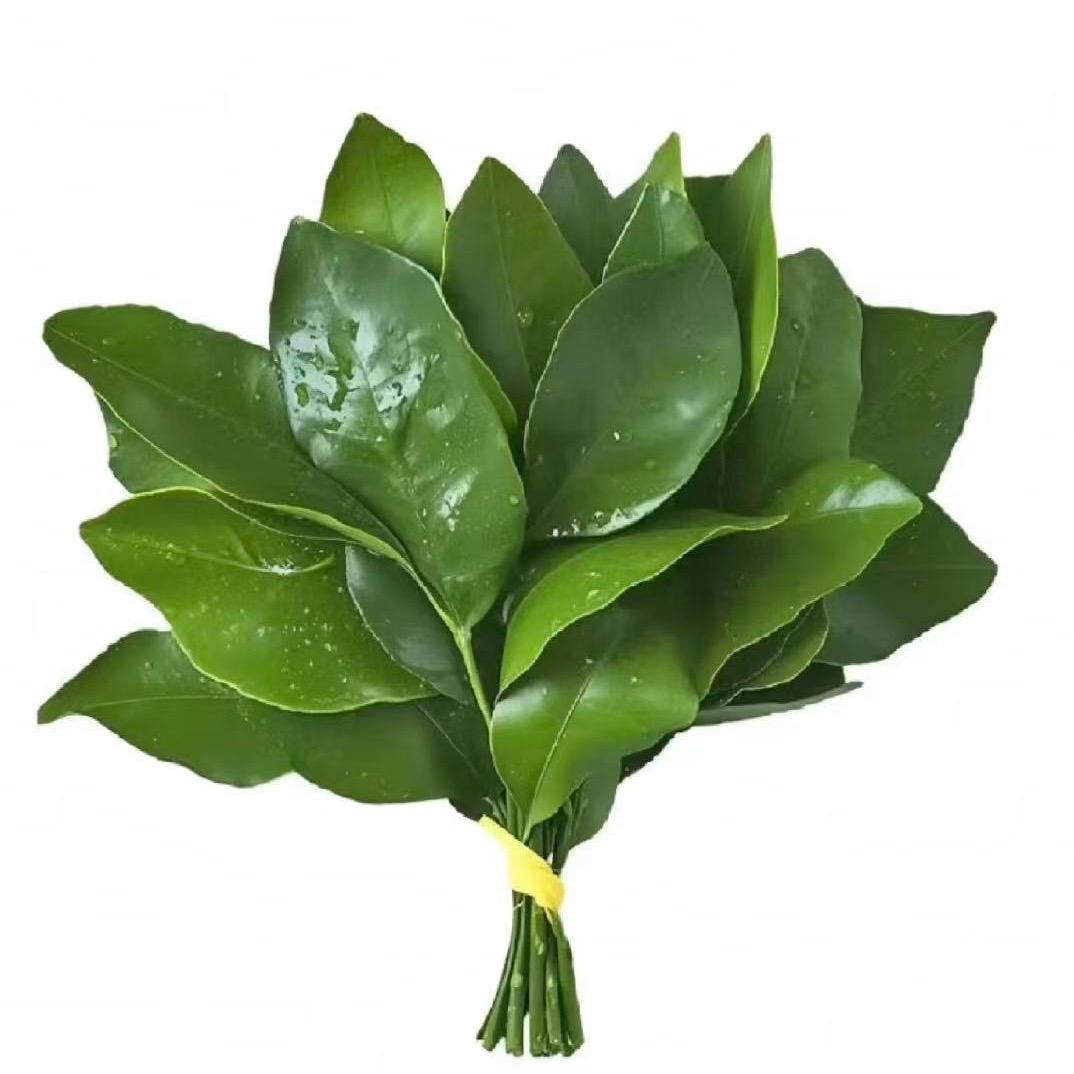 大鱼吃小鱼