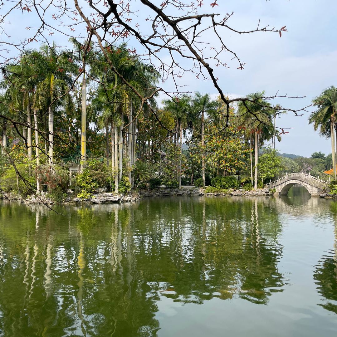东山哥浩