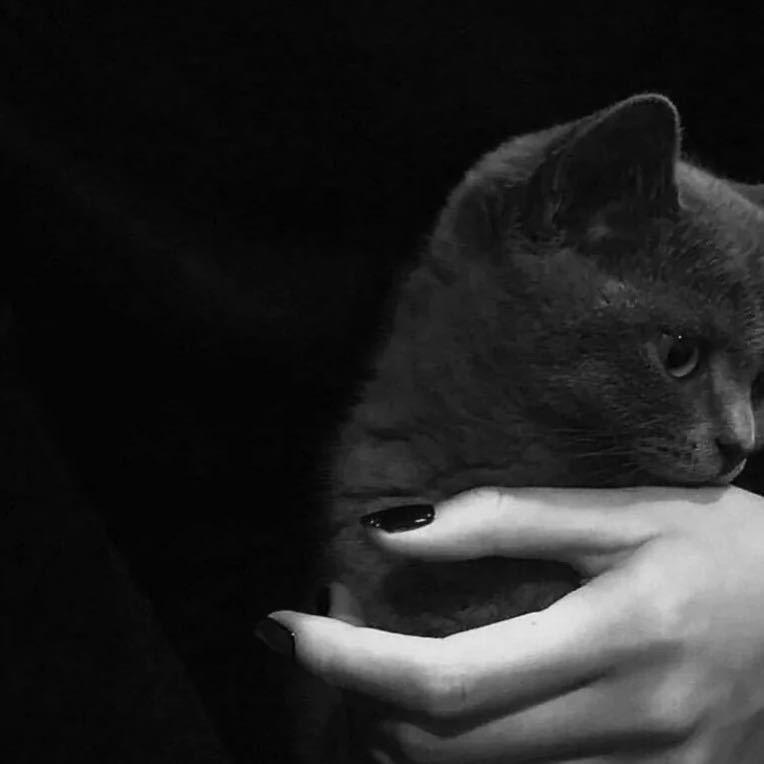 归。。