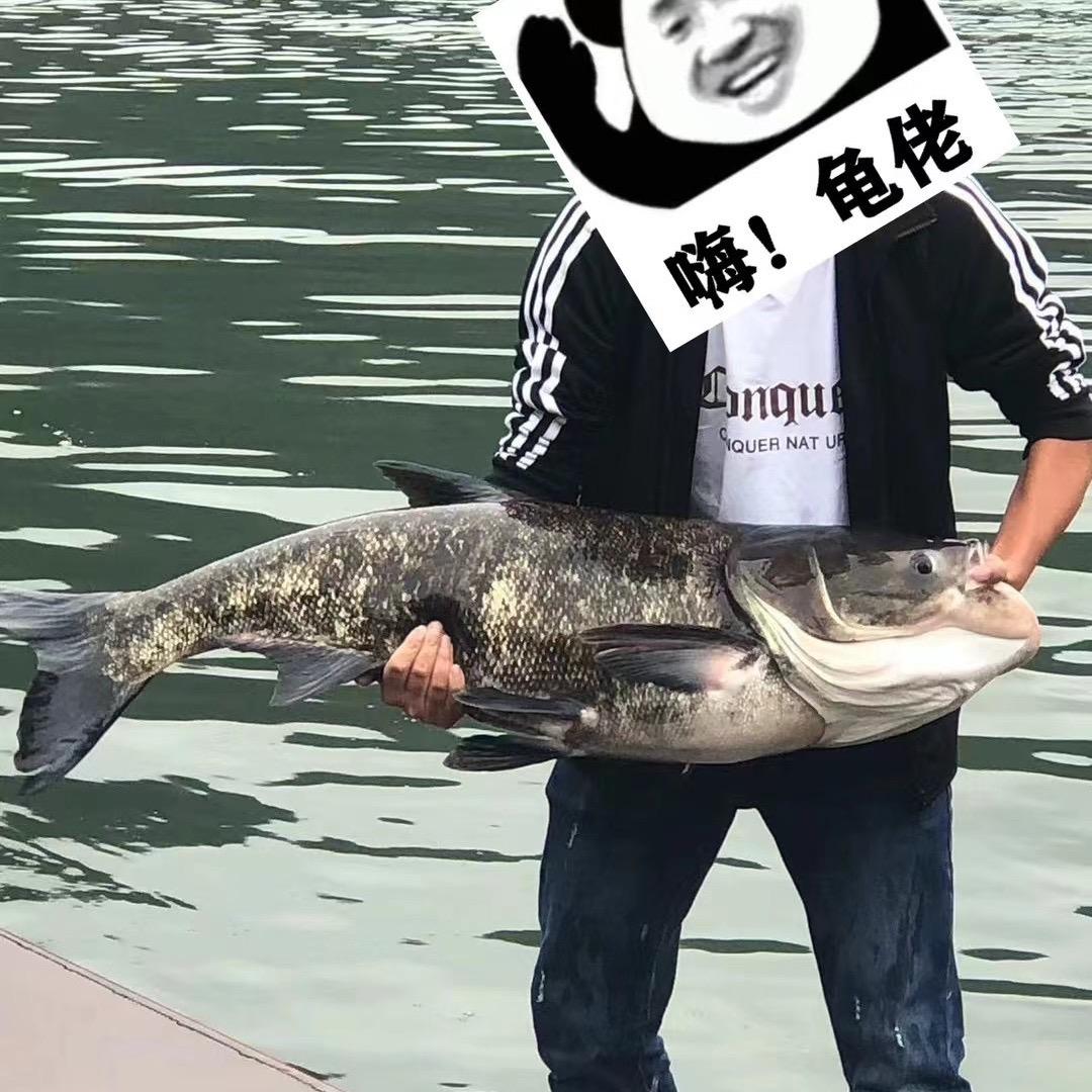 🌈嗨！龟佬🌈