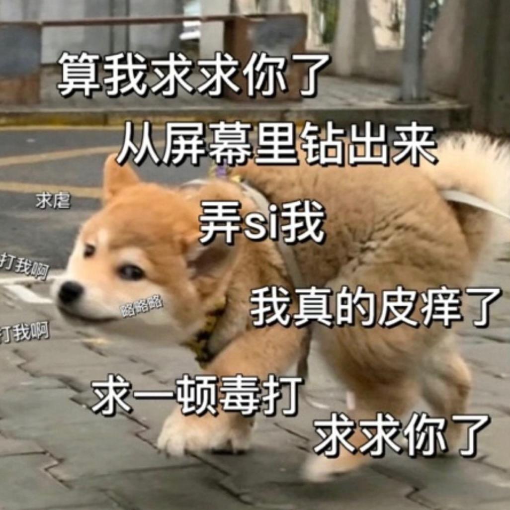 光头强见过熊二