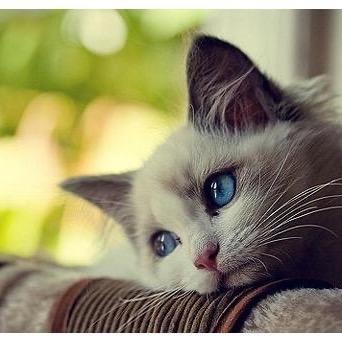 😇 😇😇😇^_^